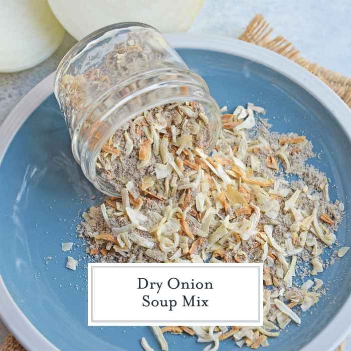 Onion recipe soup and dip mix