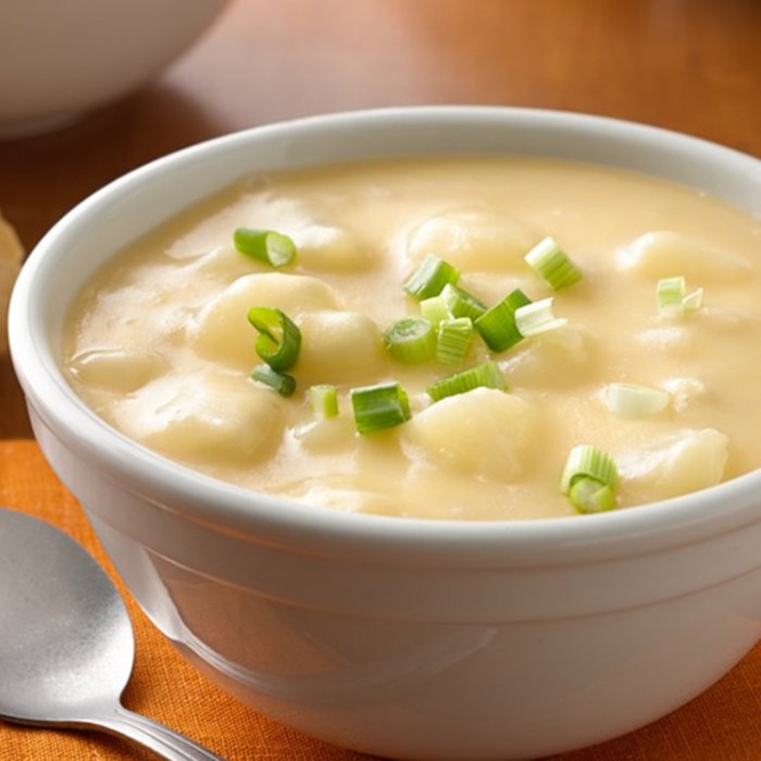 Potato ham soup crock pot recipe